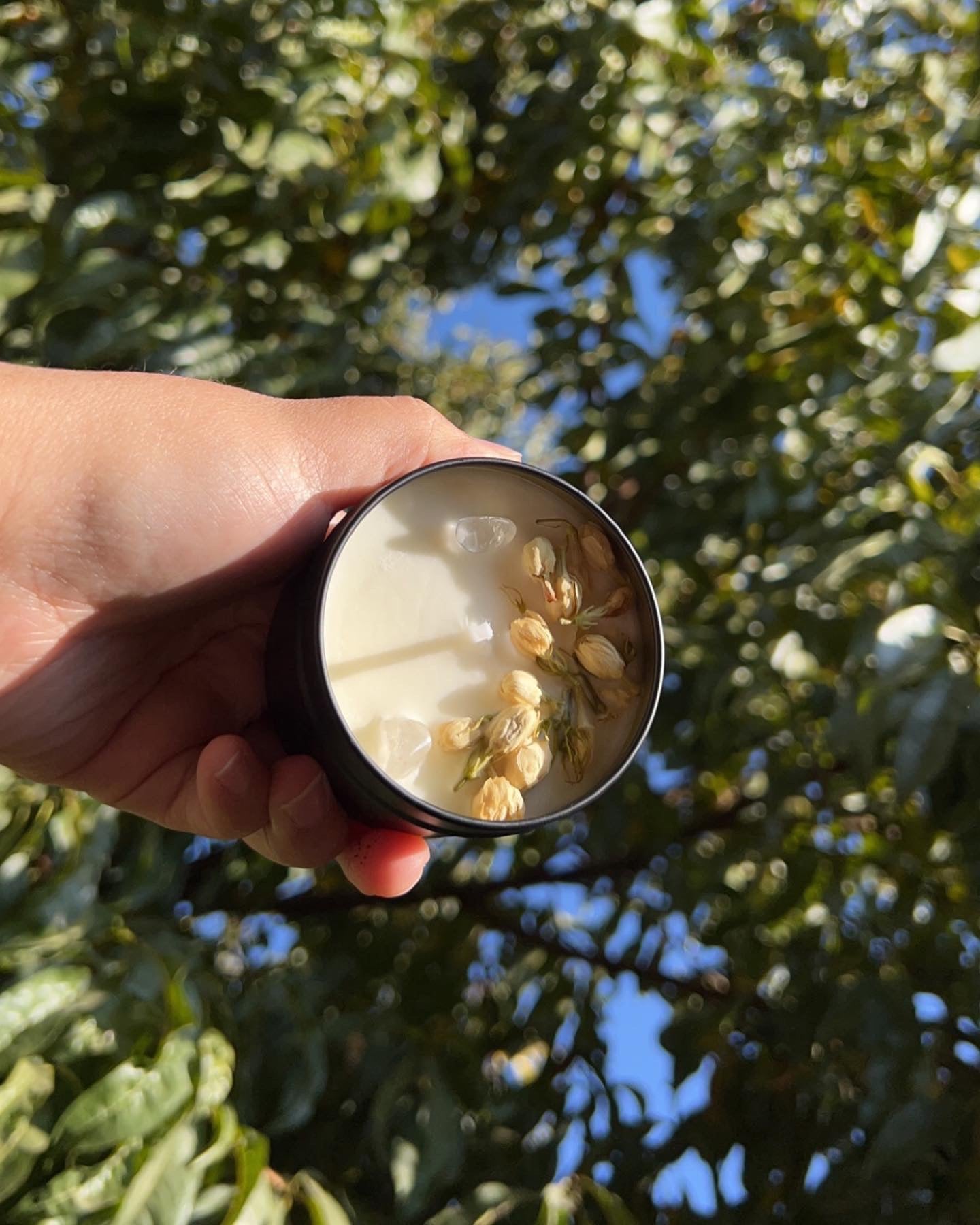 Honeysuckle